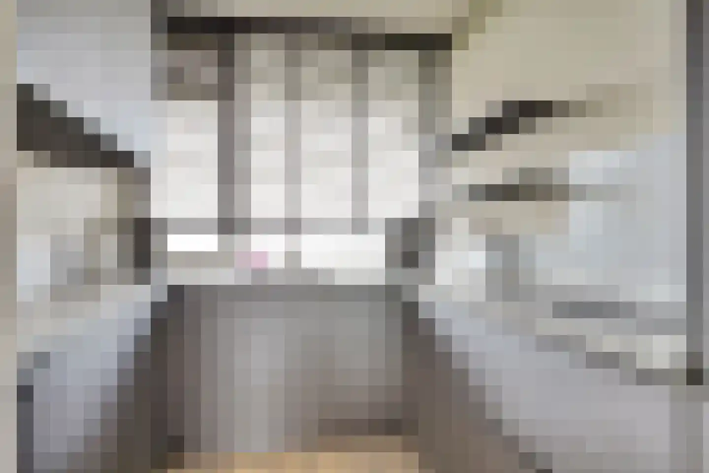 Vliestroom 66 Alphen aan den Rijn thumbnail 15