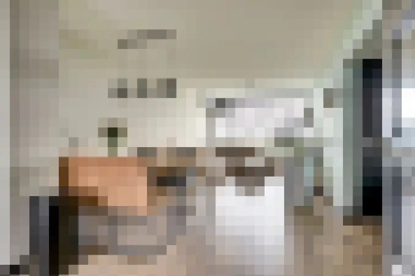 Vliestroom 66 Alphen aan den Rijn thumbnail 18