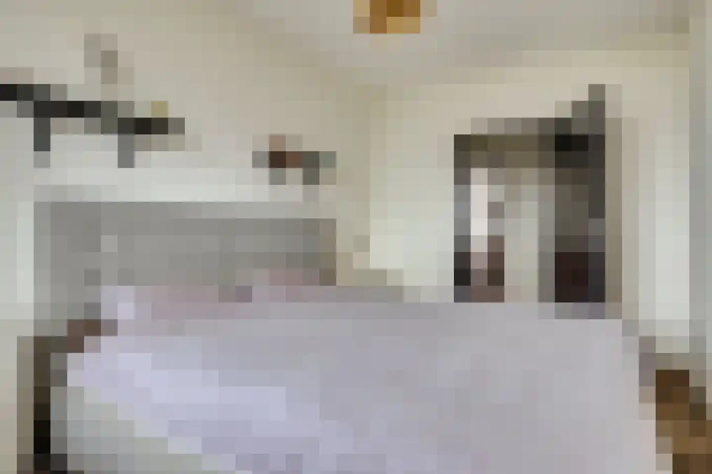 Vliestroom 66 Alphen aan den Rijn thumbnail 23