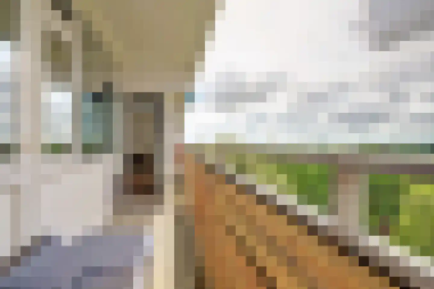 Vliestroom 66 Alphen aan den Rijn thumbnail 35
