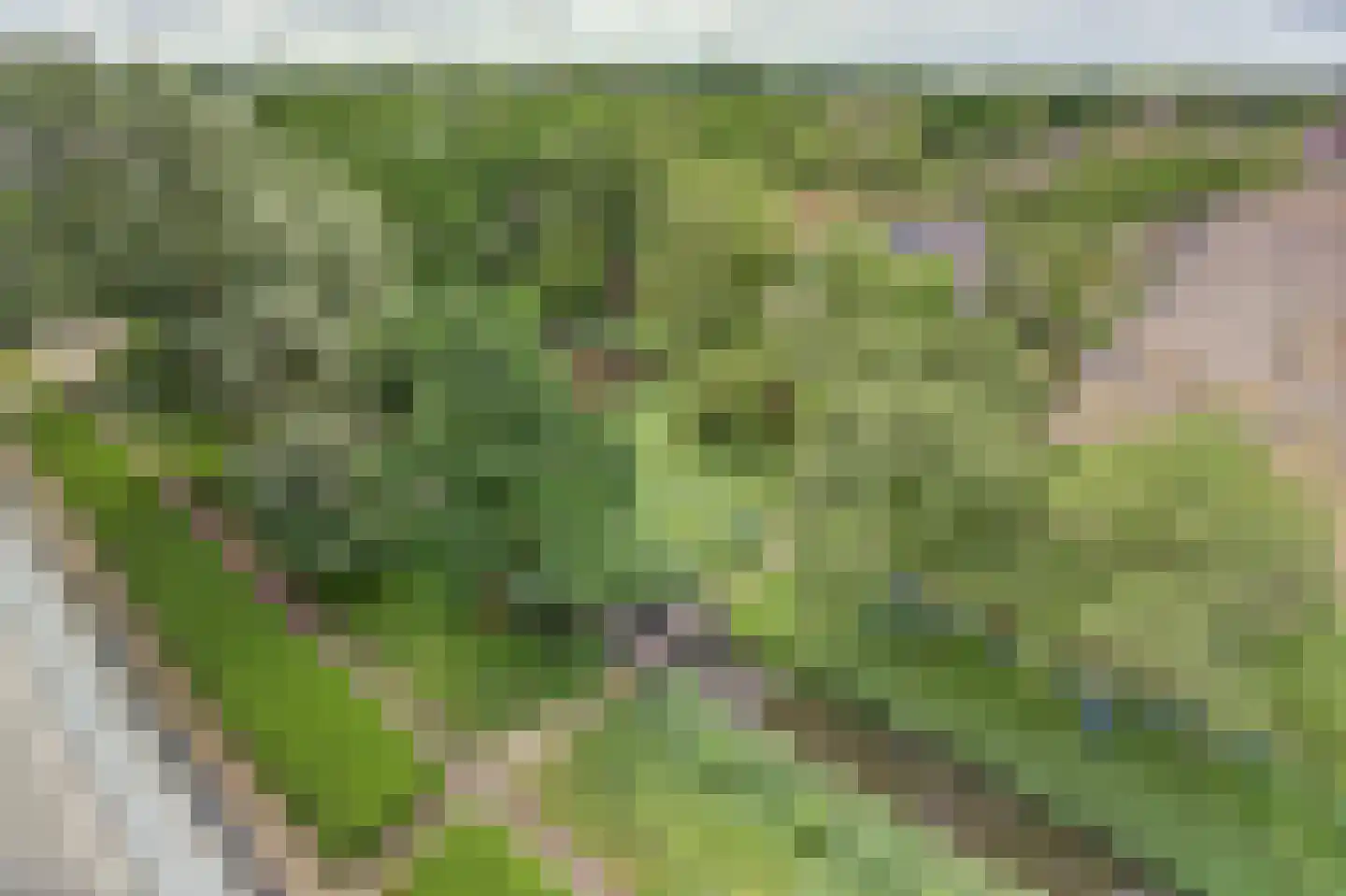 Vliestroom 66 Alphen aan den Rijn thumbnail 37