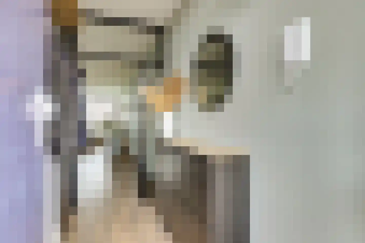 Vliestroom 66 Alphen aan den Rijn thumbnail 7
