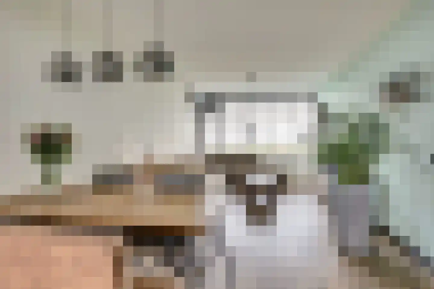 Vliestroom 66 Alphen aan den Rijn thumbnail 8