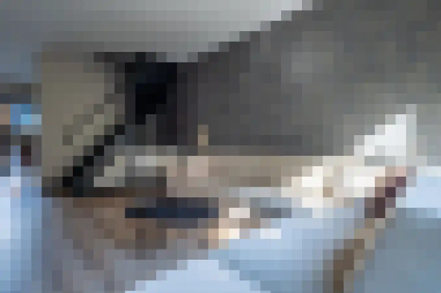 Vliestroom 7 Wieringerwerf thumbnail 10