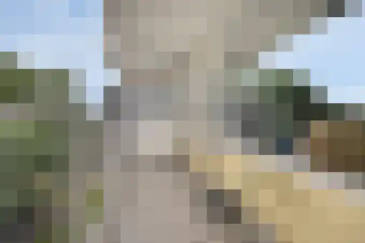 Vliestroom 73 A Alphen aan den Rijn thumbnail 18