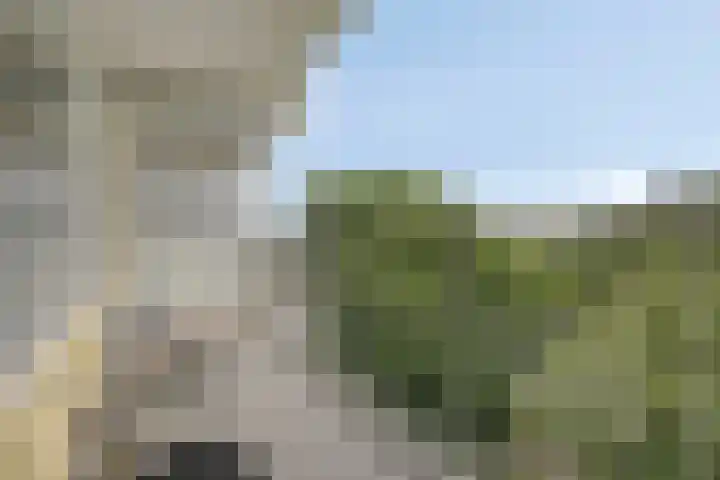 Vliestroom 73 A Alphen aan den Rijn thumbnail 19