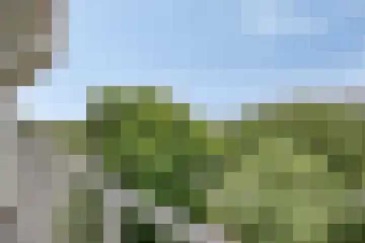 Vliestroom 73 A Alphen aan den Rijn thumbnail 20