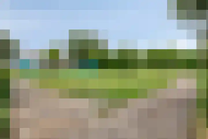Vliestroom 73 A Alphen aan den Rijn thumbnail 21