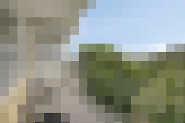 Vliestroom 73 A Alphen aan den Rijn thumbnail 4