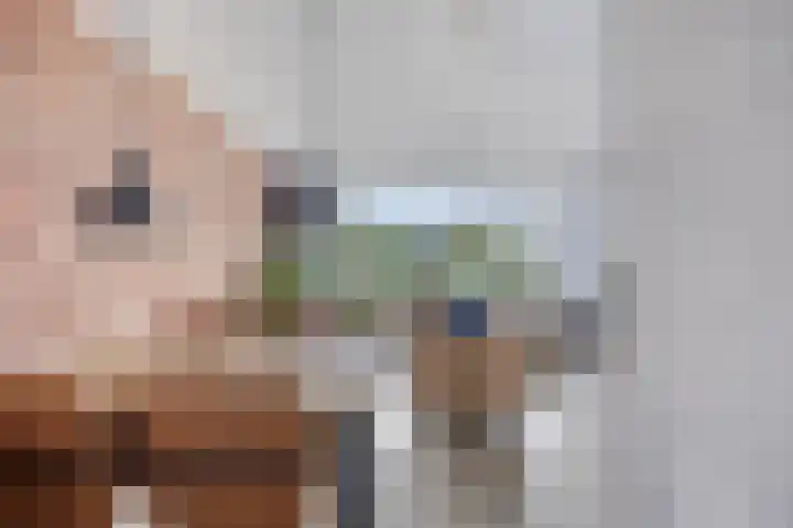 Vliestroom 73 A Alphen aan den Rijn thumbnail 9