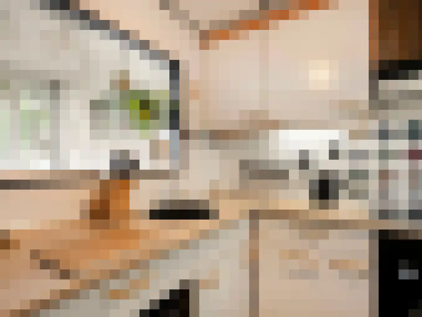 Vliestroom 77 A Alphen aan den Rijn thumbnail 10