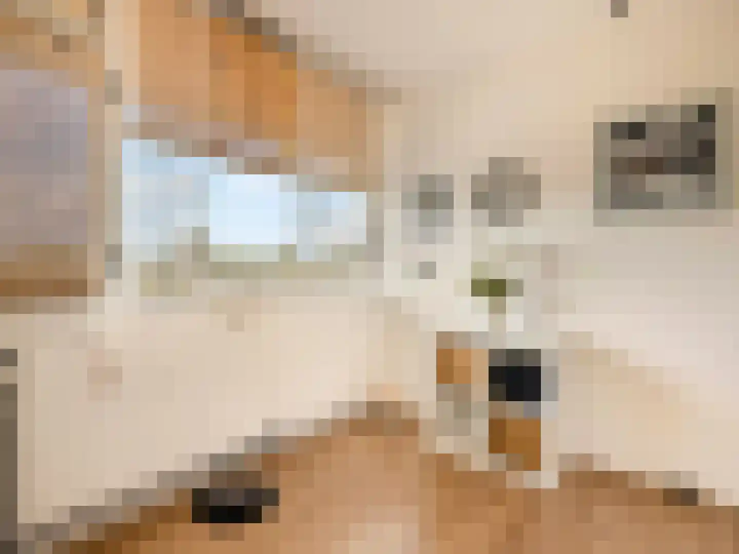 Vliestroom 77 A Alphen aan den Rijn thumbnail 14