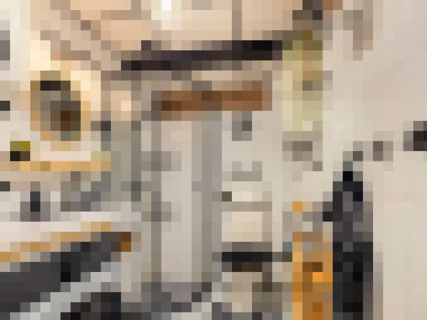 Vliestroom 77 A Alphen aan den Rijn thumbnail 17