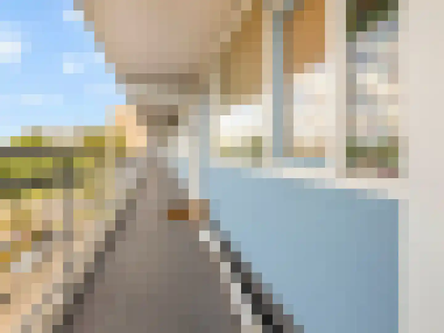 Vliestroom 77 A Alphen aan den Rijn thumbnail 27