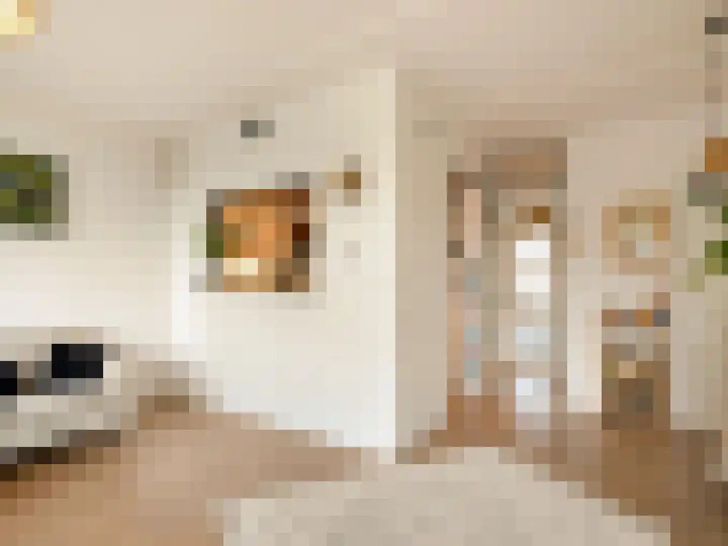 Vliestroom 77 A Alphen aan den Rijn thumbnail 6
