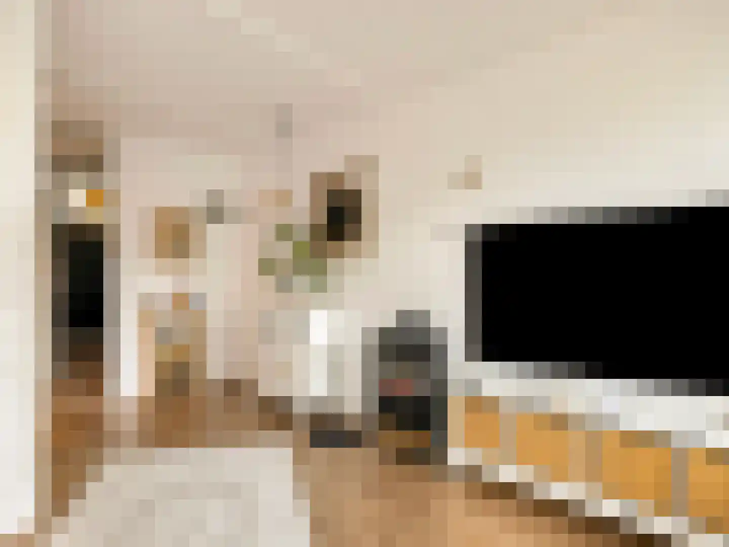 Vliestroom 77 A Alphen aan den Rijn thumbnail 7