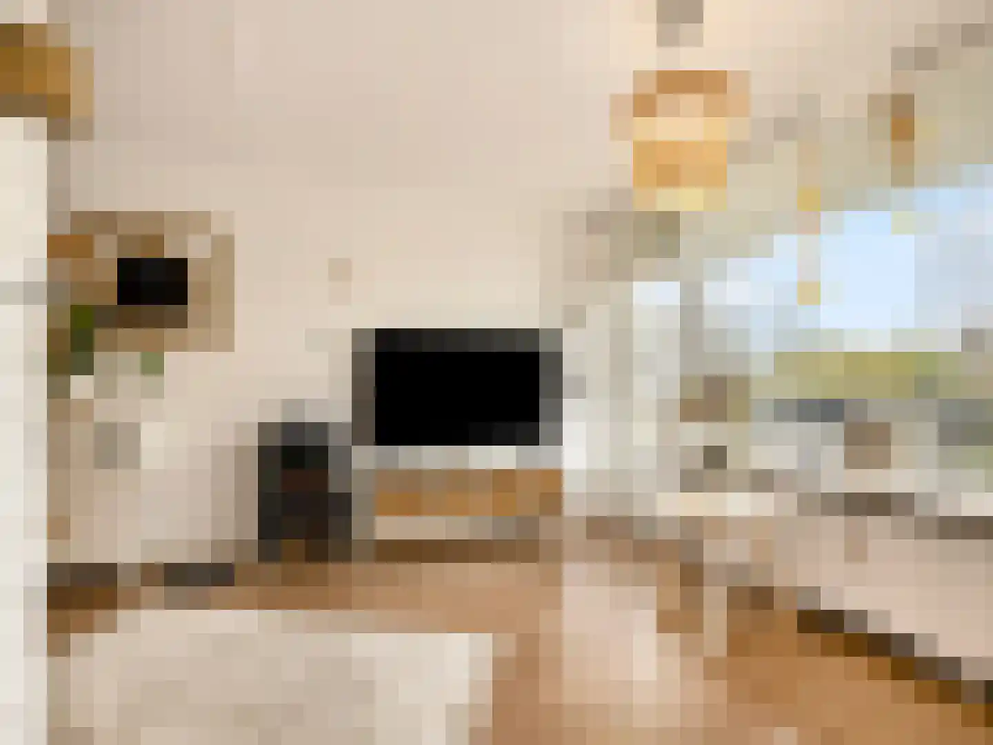 Vliestroom 77 A Alphen aan den Rijn thumbnail 8