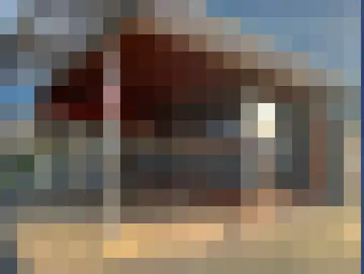 Vliestroom 77 Alphen aan den Rijn thumbnail 25