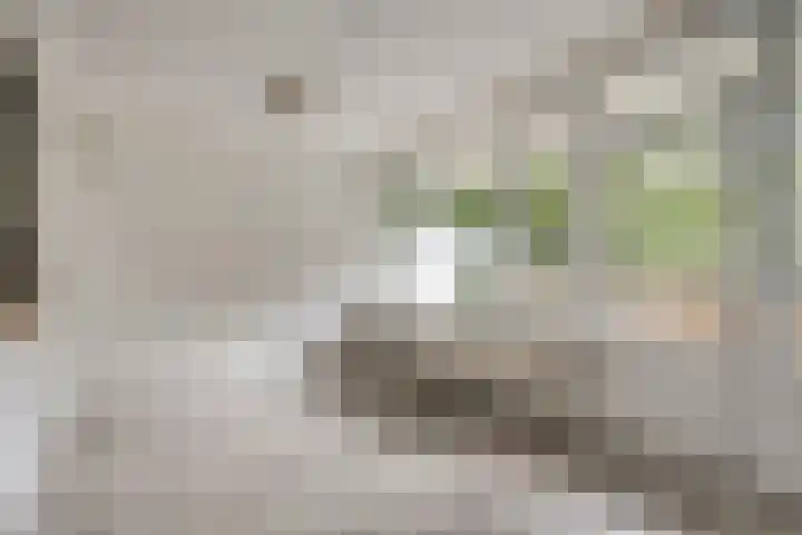 Vliestroom 9 Alphen aan den Rijn thumbnail 11