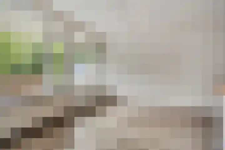 Vliestroom 9 Alphen aan den Rijn thumbnail 12