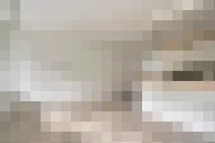 Vliestroom 9 Alphen aan den Rijn thumbnail 13