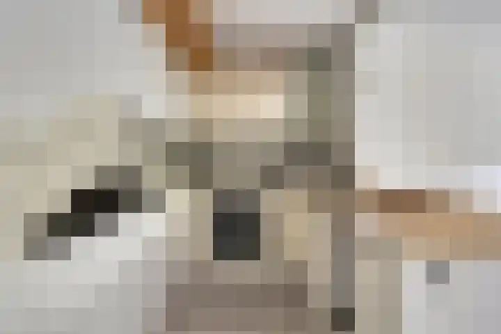 Vliestroom 9 Alphen aan den Rijn thumbnail 15