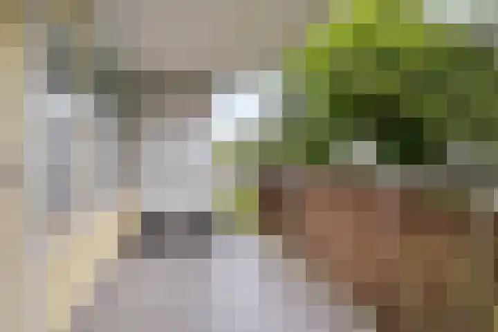 Vliestroom 9 Alphen aan den Rijn thumbnail 18