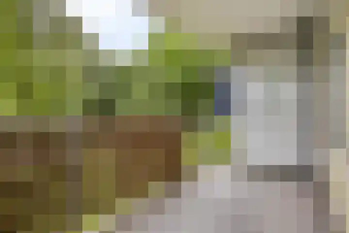 Vliestroom 9 Alphen aan den Rijn thumbnail 19