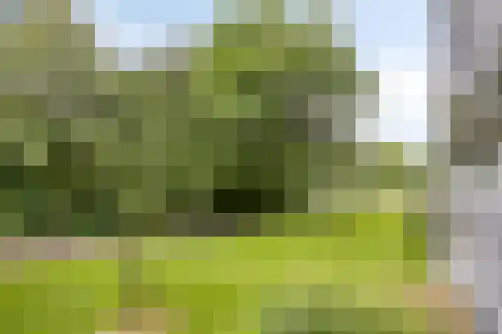 Vliestroom 9 Alphen aan den Rijn thumbnail 20