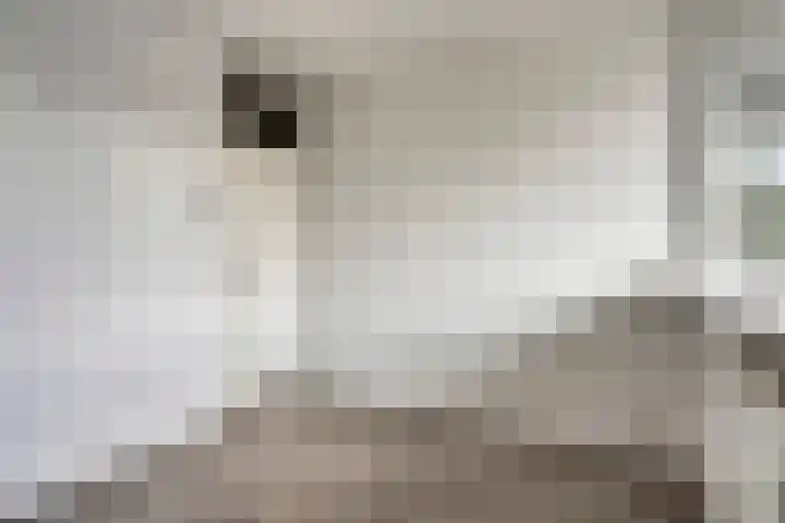 Vliestroom 9 Alphen aan den Rijn thumbnail 22