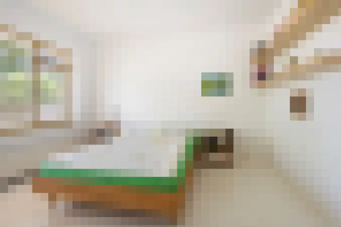 Vliestroomlaan 18 Den Helder thumbnail 29