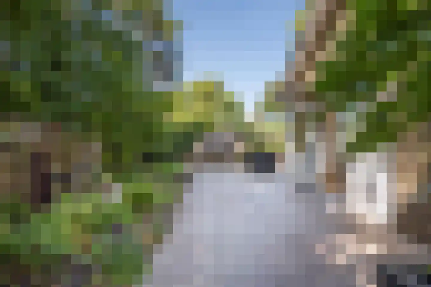 Vliestroomlaan 18 Den Helder thumbnail 48