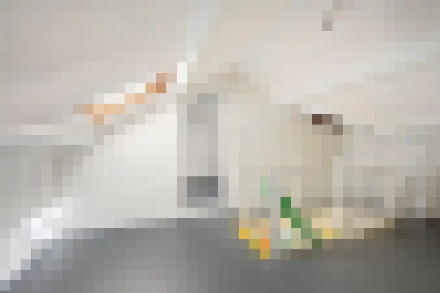 Vliestroomlaan 18 Den Helder thumbnail 68