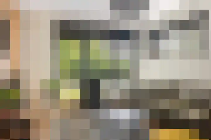 Vliet 109 Heerenveen thumbnail 11