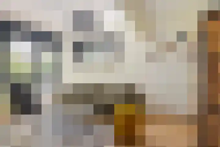 Vliet 109 Heerenveen thumbnail 12