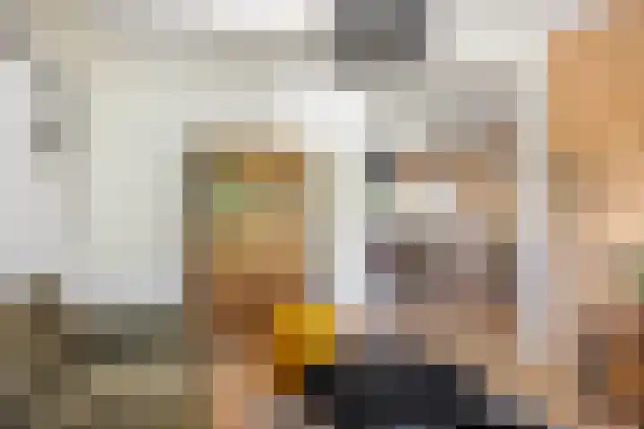 Vliet 109 Heerenveen thumbnail 13
