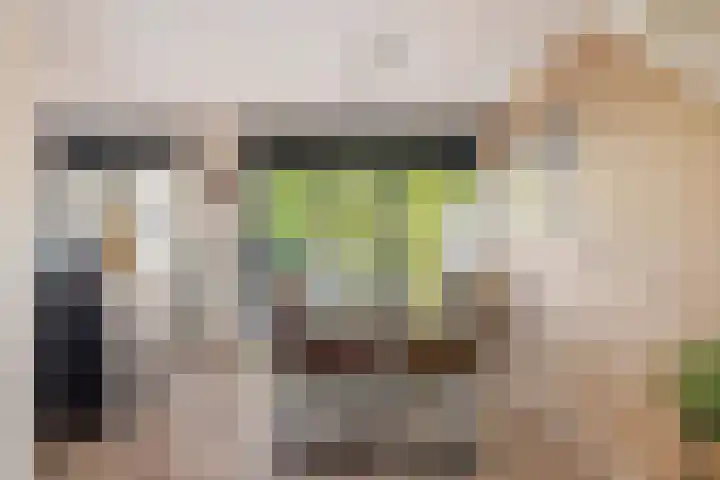 Vliet 109 Heerenveen thumbnail 15