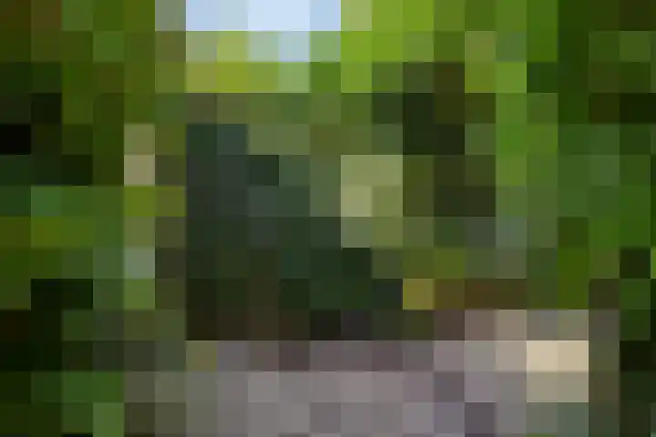 Vliet 109 Heerenveen thumbnail 25
