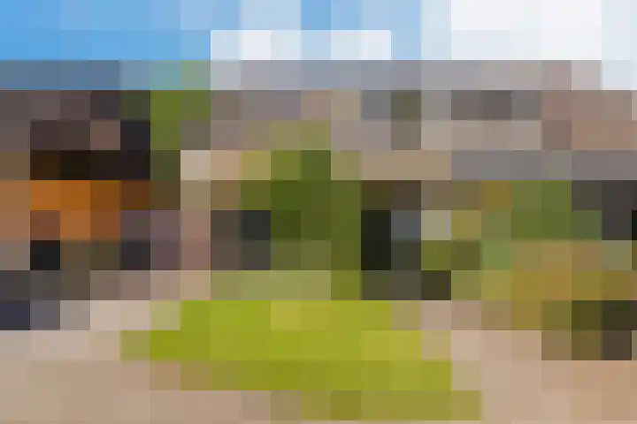 Vliet 109 Heerenveen thumbnail 4