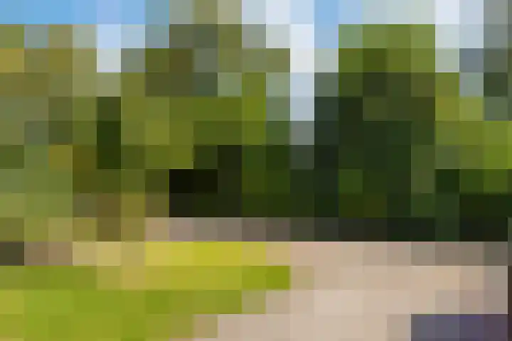 Vliet 109 Heerenveen thumbnail 5