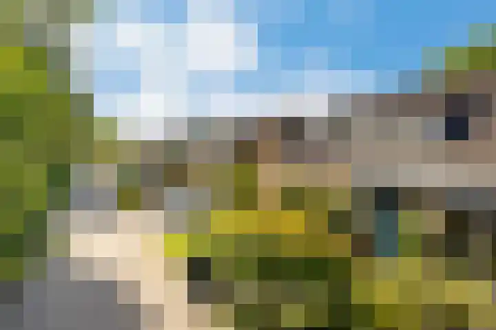 Vliet 109 Heerenveen thumbnail 6