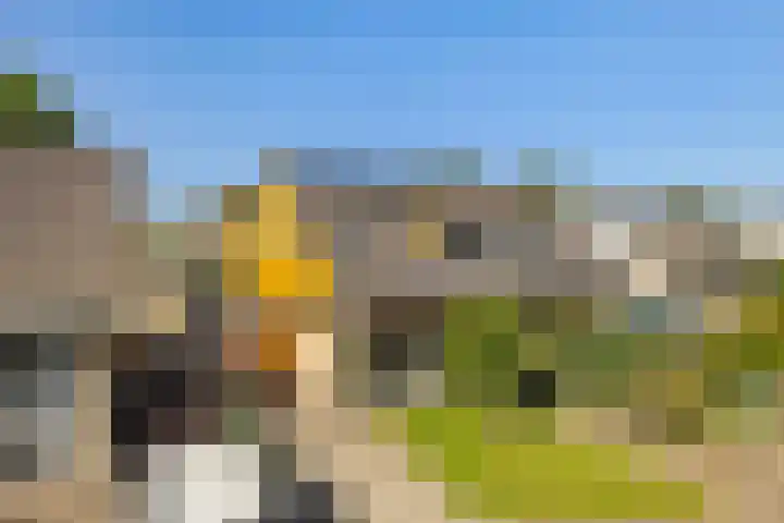 Vliet 109 Heerenveen thumbnail 7