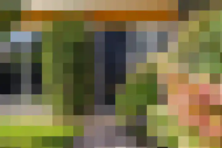 Vliet 109 Heerenveen thumbnail 8
