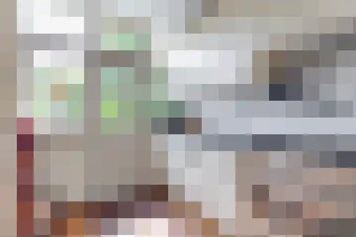 Vliet 12 Maasdam thumbnail 12
