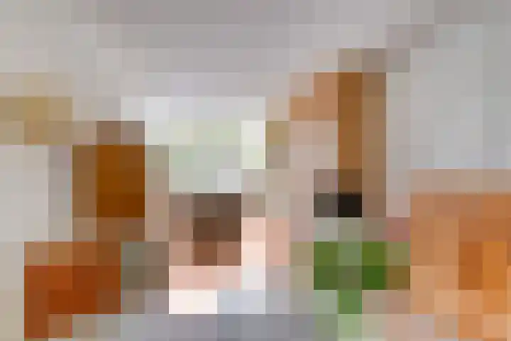 Vliet 12 Maasdam thumbnail 16
