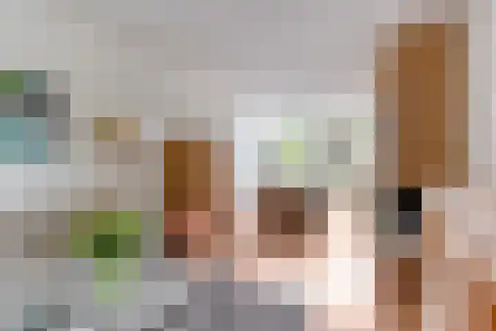 Vliet 12 Maasdam thumbnail 17
