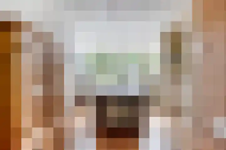 Vliet 12 Maasdam thumbnail 18