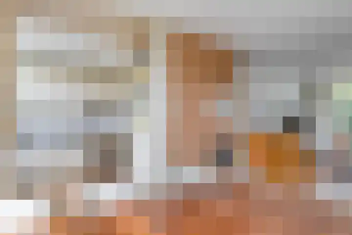 Vliet 12 Maasdam thumbnail 19