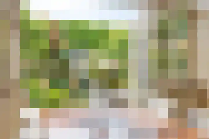 Vliet 12 Maasdam thumbnail 20