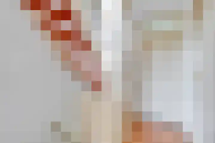 Vliet 12 Maasdam thumbnail 22